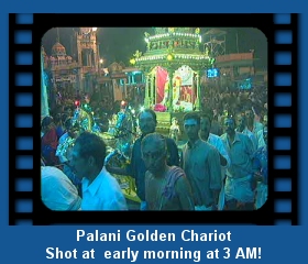 Palani Golden Chariot Festival