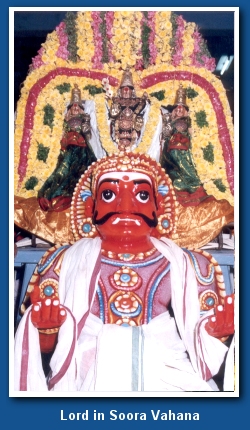 Lord Muruga in Soorapadhman vahana in swamimalai temple