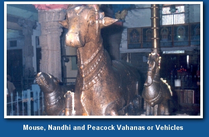 View of Mouse, Bull and Peacock vahana of Lord Muruga iin Thiruparamkundram temple