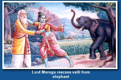 Lord Muruga rescues valli from his brother ganesh, who comes in the form of an elephant